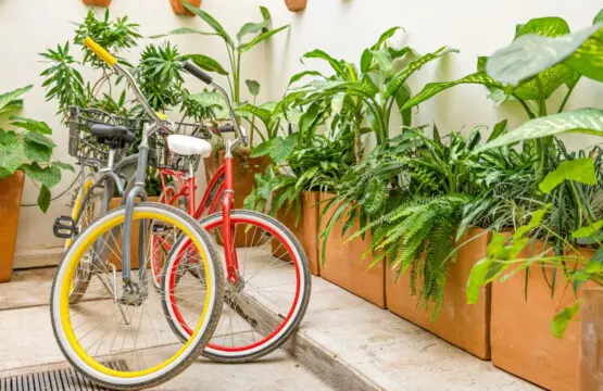 98810 354037 4LjN3RkNcf1kaAw9FI E3RUyCKRuYMBy1 eYyq4TC8Q 686e240c0b222.jpg