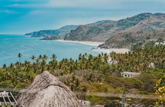 98810 388362 tlGbO56c4ZvG8OXE 6cU0wH0Kv9mU sCv37gAGI4bLs 68c9cc672cdf9.jpg