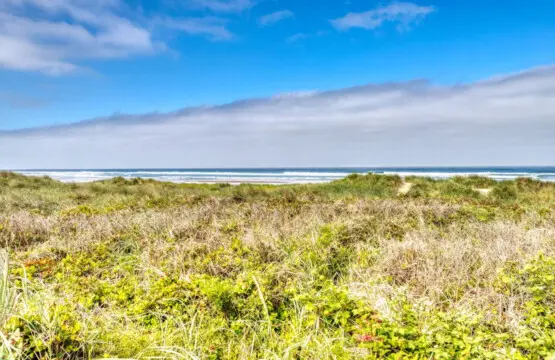 98810 400339 3BUwyO199Hl 37jgCP71zBtZiolow4yhHSeXk3SjuqU 684717e0279dd.jpg