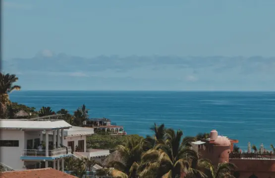 98810 408558 2uEfhz kvxiyo2EC22CeC3qDdOPwCaoMhbL1 dgrhJo 68c9ca503b27d.jpg