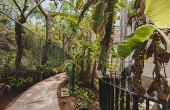 98810 409002 l7c BNNRPaB0yLwqgmUOzl8b Hf ctBTEFBWmoQyr70 68af48183d6b8.jpg