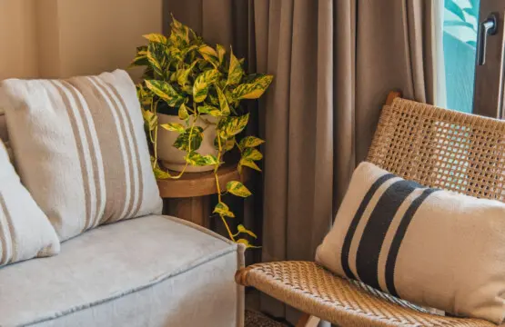 98810 426484 1VHSmmwqelTUKQf EYCEwJRvExu8hjTJiNIgM7eJtOA 68c9c95753588.jpg