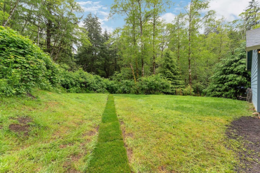 98810 394845 AH4pNMDgmMir5BHivyHiunStaaT7B4f7iG6WyNyb07A 683f5d71d2250.jpg