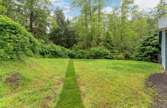 98810 394845 AH4pNMDgmMir5BHivyHiunStaaT7B4f7iG6WyNyb07A 683f5d71d2250.jpg