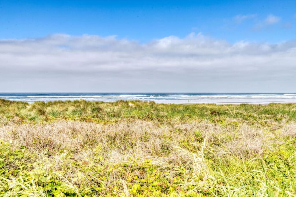 98810 400339 1K6McRNLDV 4VxFJ g5TCGoShf4KibAvIx5YdAFcUIE 684717e384034.jpg