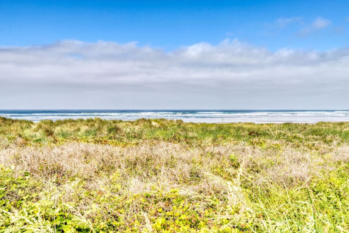 98810 400339 1K6McRNLDV 4VxFJ g5TCGoShf4KibAvIx5YdAFcUIE 684717e384034.jpg