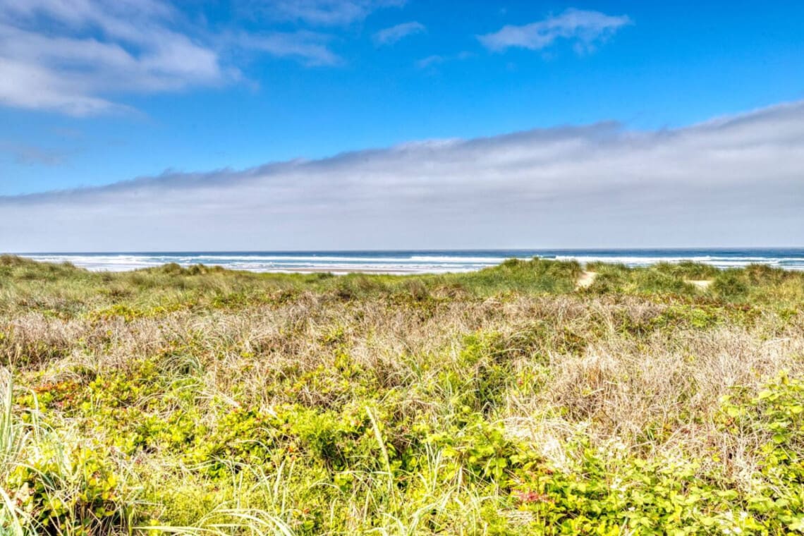 98810 400339 3BUwyO199Hl 37jgCP71zBtZiolow4yhHSeXk3SjuqU 684717e0279dd.jpg