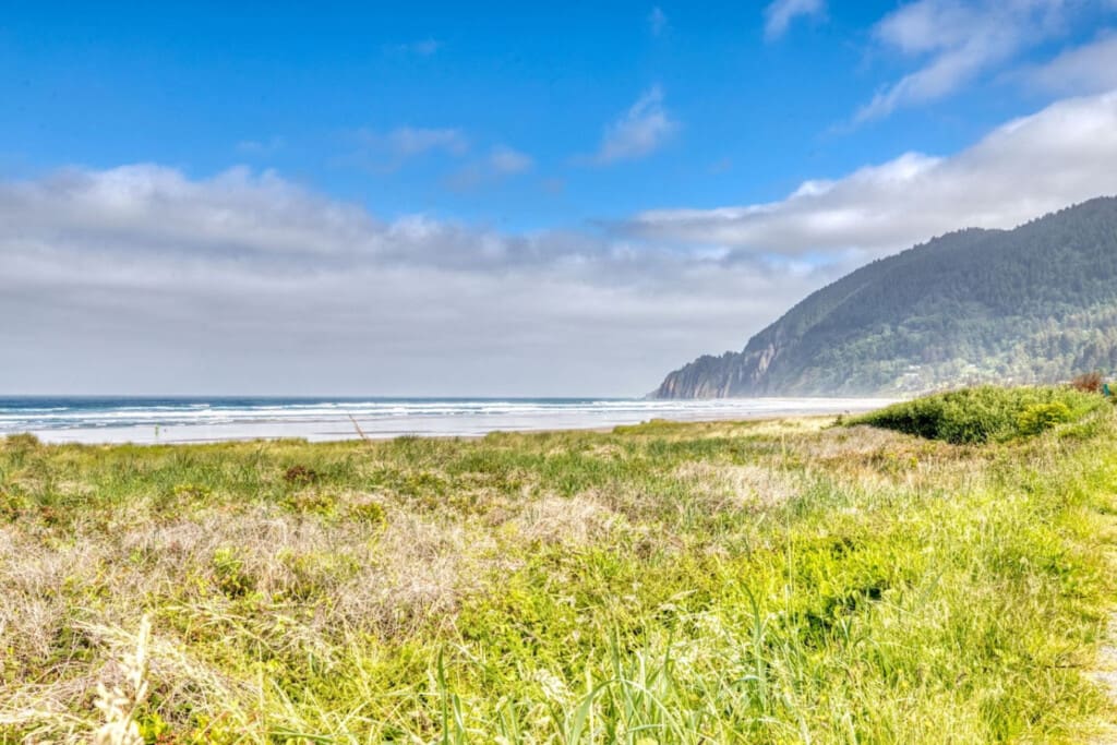 98810 400339 Nrk7geBh2XmGaMBbf 0h5ngGlB32l2v3F e6aTJZlUs 684717f222050.jpg