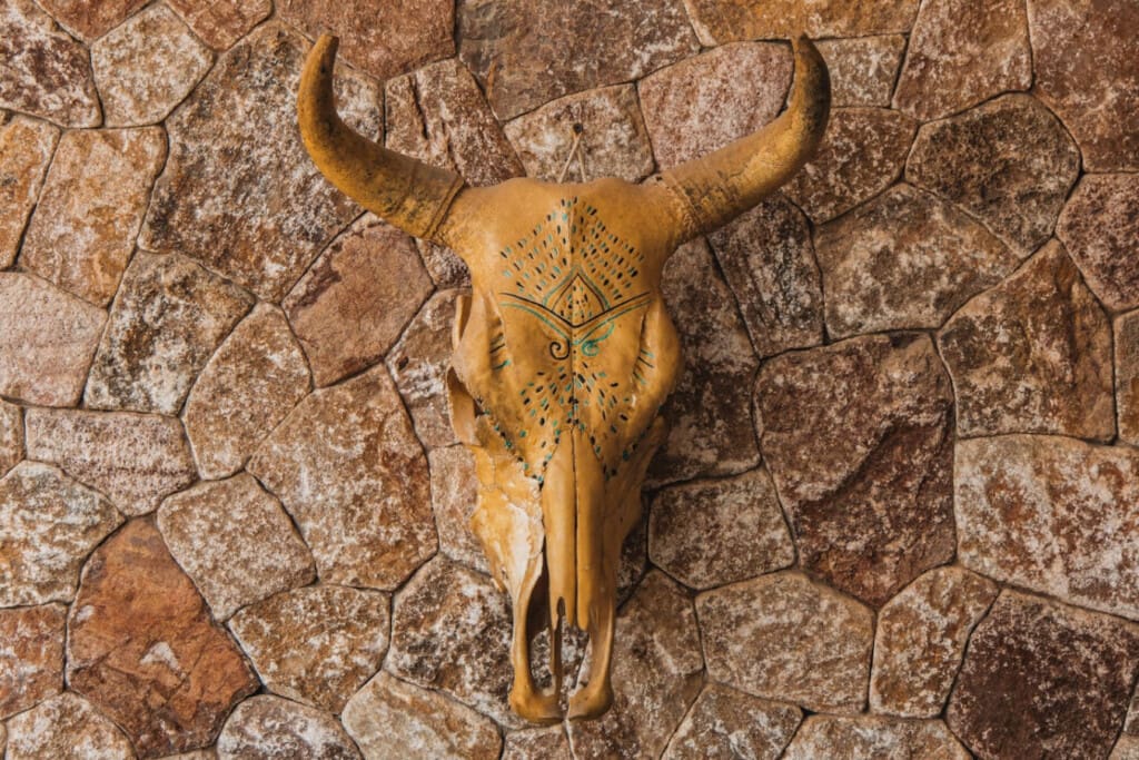 98810 444329 8 iLu1iS0oOvSGb3EMwO4j UCTX8QoEYy8Gea3qUlro 68f660cde4dd5.jpg