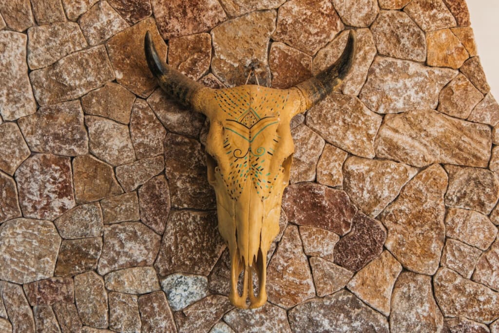 98810 444329 xX8aT56 dSXkGFGPQ7HQpPHpJ5rvbETXAm2AX54Bu4 68f660cf4b75f.jpg