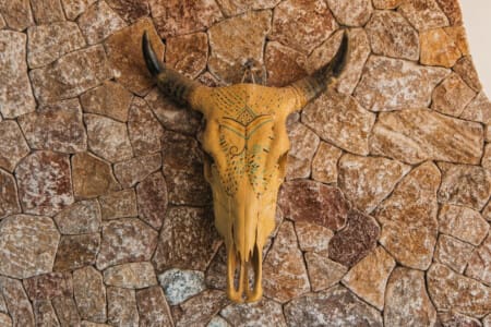 98810 444329 xX8aT56 dSXkGFGPQ7HQpPHpJ5rvbETXAm2AX54Bu4 68f660cf4b75f.jpg