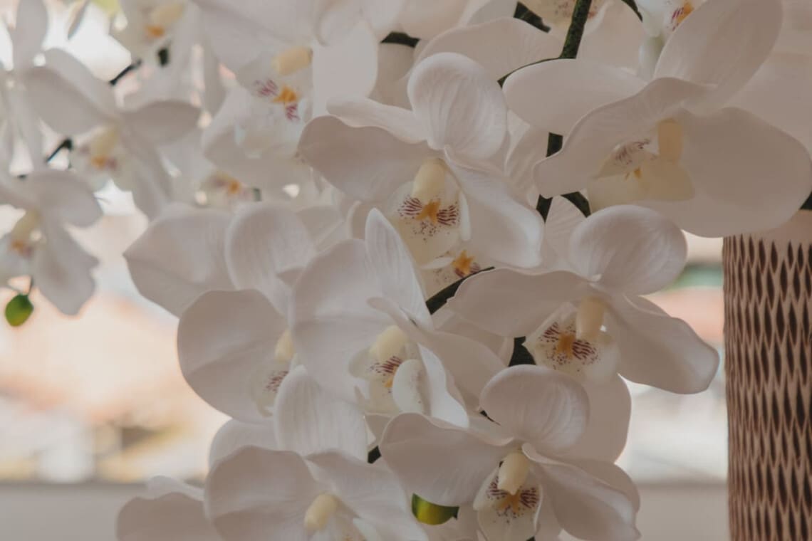 98810 414644 F3CF1Dlo8qOVkkFlJYU16dw IbtpWTIvurf9erQqdWQ 6901a90abfcc3.jpg