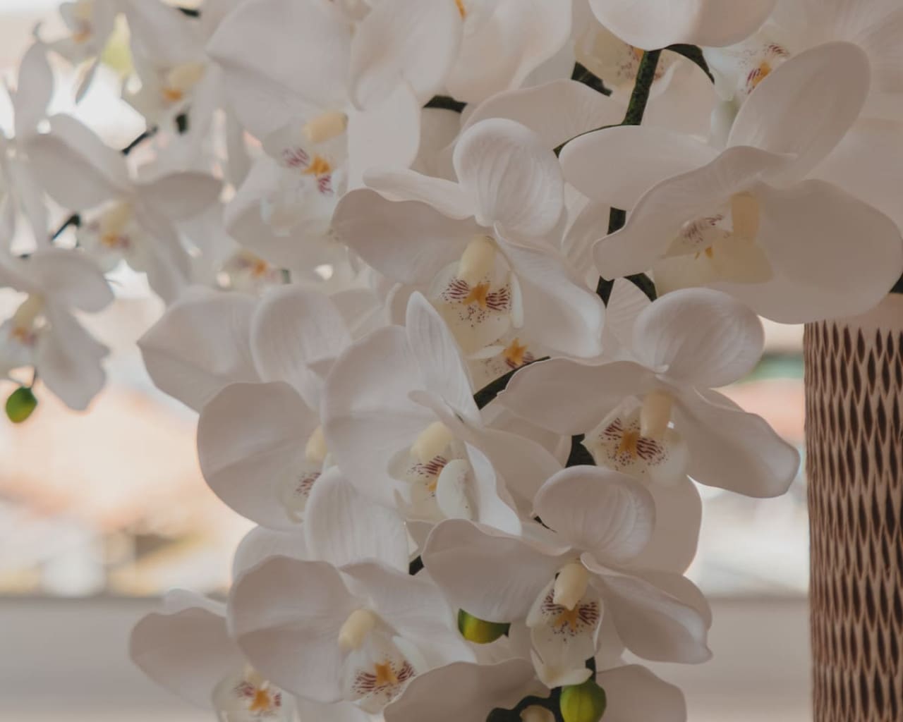 98810 414644 F3CF1Dlo8qOVkkFlJYU16dw IbtpWTIvurf9erQqdWQ 6901a90abfcc3.jpg